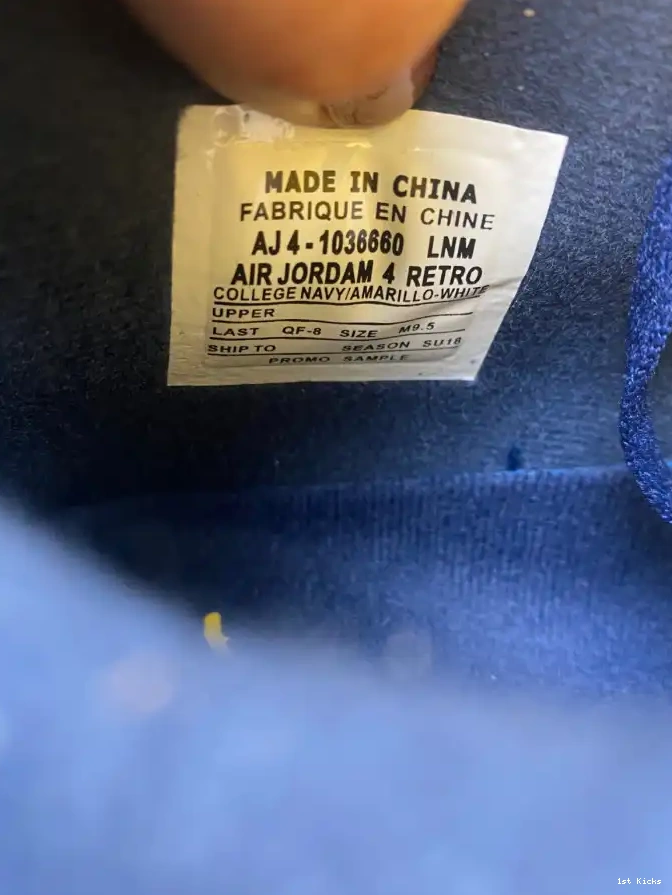 Air Michigan (PE) 4 Jordan Retro AJ4-1036660 0520